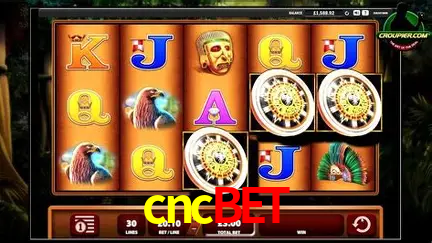 Descubra o Mundo do Cassino Online com cncbet
